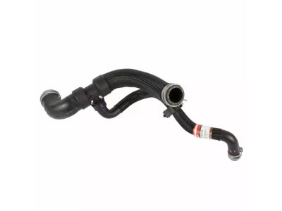 Ford 9E5Z-8286-C Lower Hose
