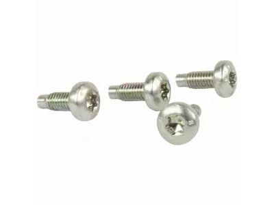 Ford -W505581-S437 Power Mirror Bolt