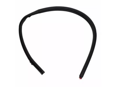 Ford 8L5Z-1351222-A Weatherstrip