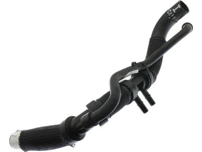 Ford BB5Z-8286-M Lower Hose