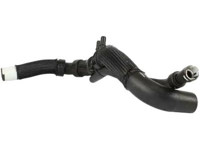 Ford BB5Z-8286-M Lower Hose