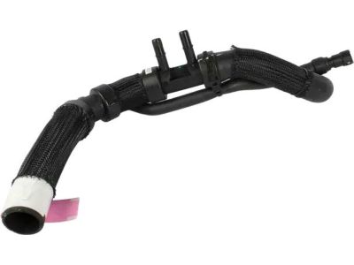 Ford BB5Z-8286-M Lower Hose