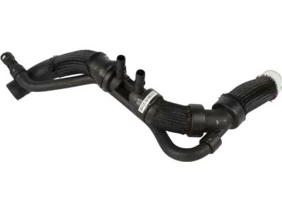 Ford BB5Z-8286-M Lower Hose