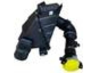 Ford 3S4Z-9600-A Air Cleaner Assembly