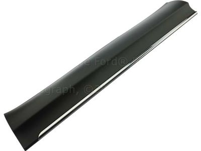 Ford AE9Z-7420878-AA Side Molding