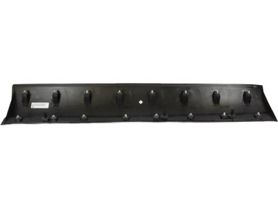 Ford AE9Z-7420878-AA Side Molding