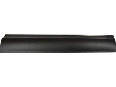 Ford AE9Z-7420878-AA Side Molding