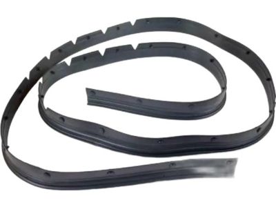 Ford BB5Z-16B990-A Surround Weatherstrip