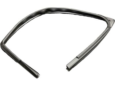 Ford BB5Z-7821596-B Run Channel