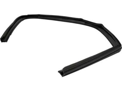 Ford BB5Z-7821596-B Run Channel