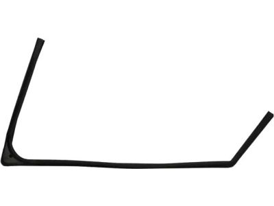 Ford BB5Z-7821596-B Run Channel