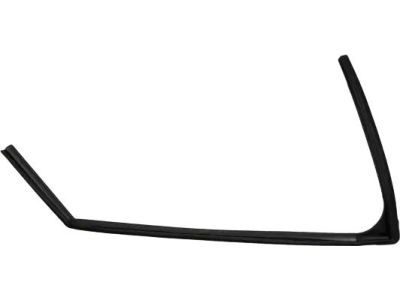 Ford BB5Z-7821596-B Run Channel