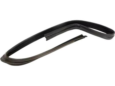 Ford 9L3Z-1521537-A Run Channel