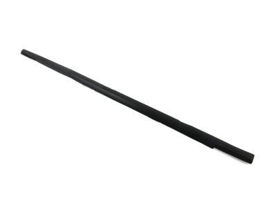 Ford BM5Z-5821452-A Belt Weatherstrip