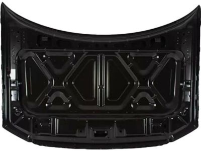Ford 4L3Z-16612-AA Hood