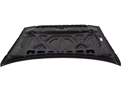 Ford 4L3Z-16612-AA Hood