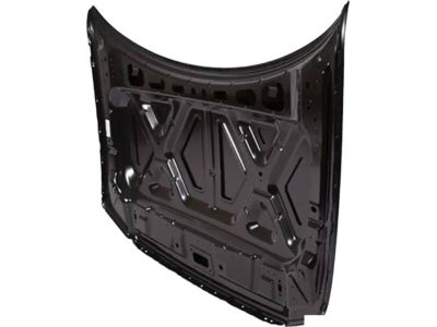 Ford 4L3Z-16612-AA Hood