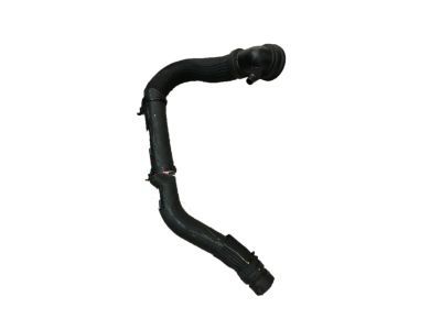 Ford HC3Z-8286-E Lower Hose