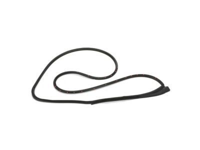 Ford 4C2Z-1520531-AA Weatherstrip