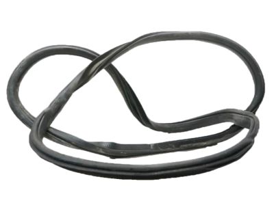 Ford FL3Z-1520709-A Weatherstrip On Body