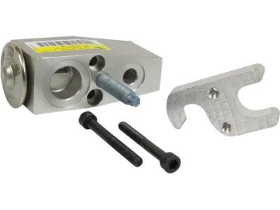 Ford CK4Z-19849-B Expansion Valve