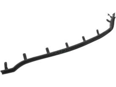 Ford DP5Z-5425556-AA Side Molding