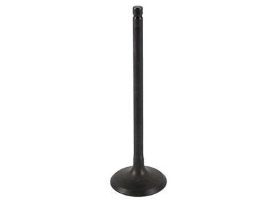 Ford 1S7Z-6507-B Intake Valve