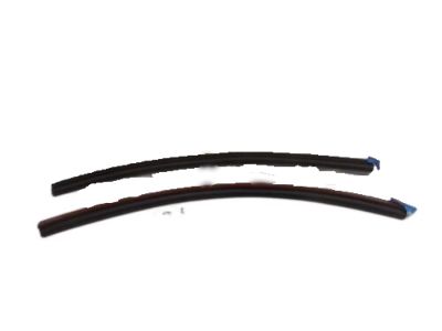 Ford 5S4Z-5425324-A Lower Weatherstrip