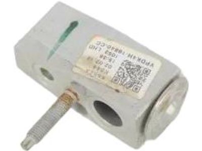 Ford DV6Z-19849-C Expansion Valve