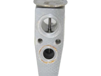 Ford DV6Z-19849-C Expansion Valve