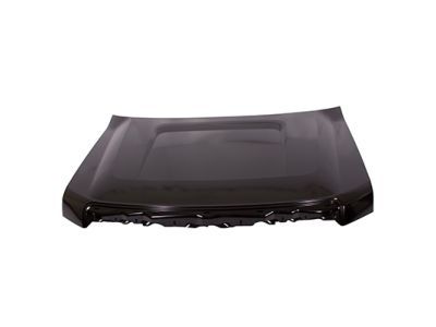 Ford 9L3Z-16612-A Hood