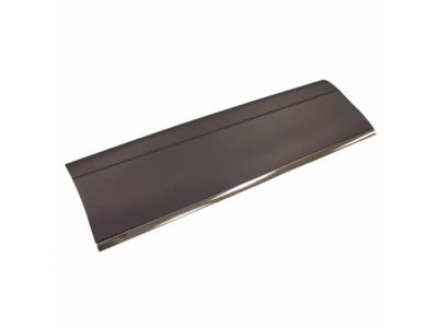 Ford 6W1Z-5420879-APTM Body Side Molding