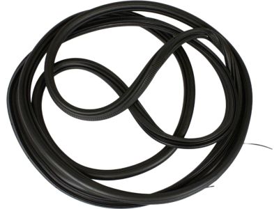 Ford BK3Z-61404A06-A Surround Weatherstrip