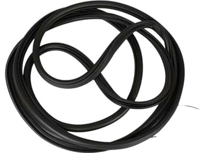 Ford BK3Z-61404A06-A Surround Weatherstrip