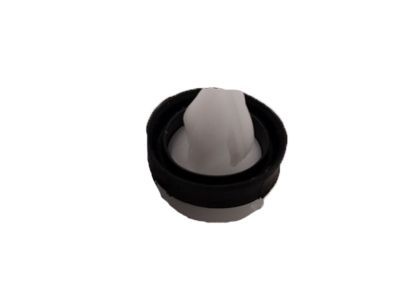 Ford -W716507-S300 Side Molding Clip