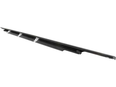 Ford FT4Z-5821452-D Belt Molding