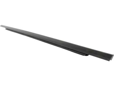 Ford FT4Z-5821452-D Belt Molding