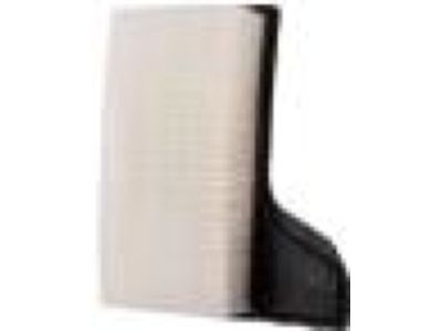 Ford FR3Z-9601-D Air Filter