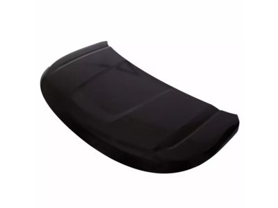 Ford BB5Z-16612-A Hood