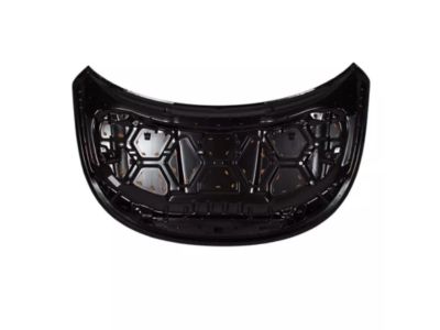 Ford BB5Z-16612-A Hood