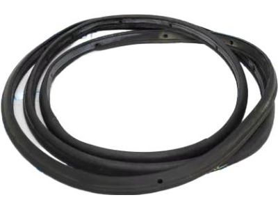 Ford DS7Z-5425325-F Door Weatherstrip