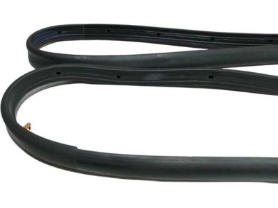Ford DS7Z-5425325-F Door Weatherstrip