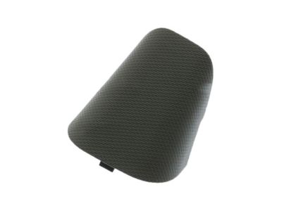 Ford FL3Z-1531458-AA Weatherstrip Pillar Trim Cap