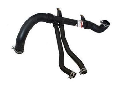 Ford 1W4Z-8286-CA Lower Hose