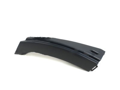 Ford AG1Z-5429076-AB Lower Molding