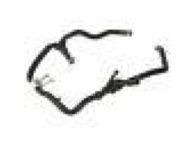 Ford CV6Z-8075-Z Reservoir Hose