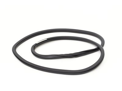 Ford FA1Z-58253A10-A Weatherstrip On Body