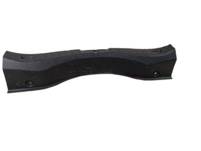 Ford DS7Z-5411318-AA Rear Sill Plate