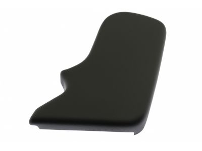 Ford BE9Z-74666L75-AB Pivot Cover