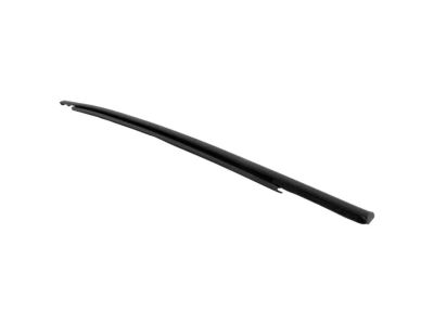 Ford CN1Z-7421452-H Belt Molding